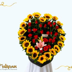 Corazón apasionado