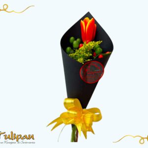 Tulipán solitaro